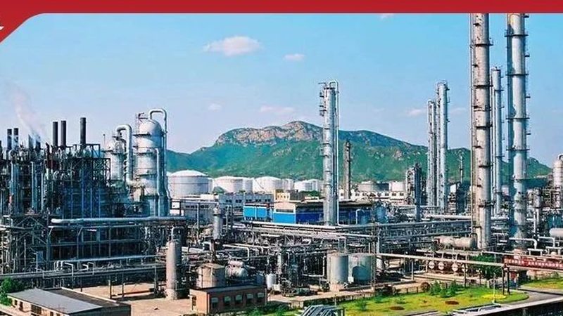 广州化工原料市场的机遇与挑战**