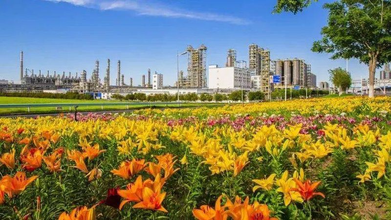成都高分子材料哪里买