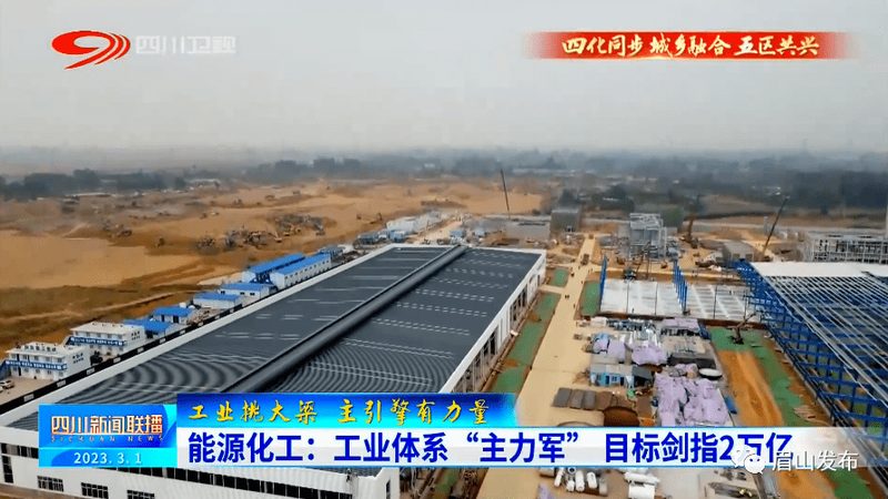 增稠剂代加工哪家好